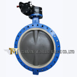 Worm Gear Operated U-Section Double Flange Butterfly Valve Ud371X