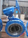 Flange Type Butterfly Valve with Wcb Body (D343H)