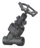 Bolted Bonnet Y-Type Forged Globe Valve
