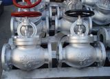 JIS10k Dn80 A216 Wcb Globe Valve (J41W-DN80-10K)