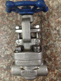 Forged Stainless Steel Scoket Weld Gate Valve