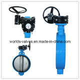 Dn200 Worm Gear Butterfly Valve with Pin (D37A1X-10/16)