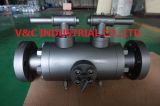 Double Block & Bleed Ball Valve with Flange End