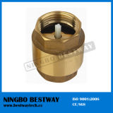 Brass Vertical Check Valve with Plastic Core