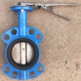 Fire Protectin Butterfly Valve