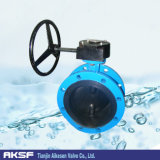 Flanged Butterfly Valve with Worm Gear