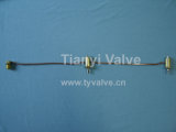 Tianyi Valve Industrial Co., Limited
