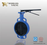 Resilient Seated Butterfly Control Valve for Desulfurization (D7A1X-10/16)
