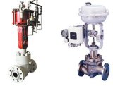 Cage-Guided Control Valve