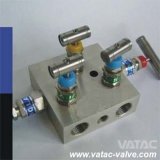 Stainless Steel Ss304/Ss316/Ss304L/Ss316L Compact Gauge Valve
