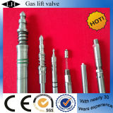 Oil Field Oil Production Equipment Gas Lift Valve (LH00105)