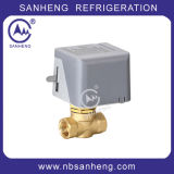 Air Conditioner Motorized Ball Valve with Actuator 24V (DF/F-02)
