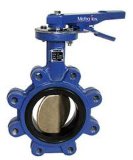 OEM Cast Steel Parts for Butterfly Valve