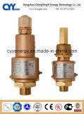 Low Temperature O2 Safety Release Valve