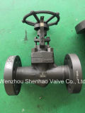 Flanged Connection Forged Globe Valve with Rising Stem