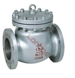 Swing Check Valve