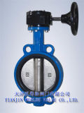 Rubber Seated Butterfly Valve (D371X-10/16)