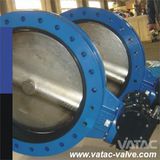 Cast Iron/Ductile Iron Flanged Butterfly Valve (D41)