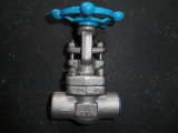 Class800 Ss Gate Valve Forged F304 3/4