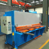 Hydraulic Guillotine Shearing Machine (RAS256, 6X2500) , Italy Maper Mpf Dro