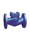 DIN Standard Cast Iron Check Valve