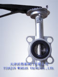 Stainless Steel Wafer Butterfly Valve with Hand Lever (WDS)