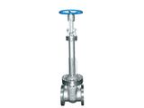 Professional Manufacturer of Cryogenic Gate Valve