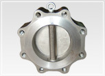 Plum Blossom Type Lug and Wafer Type Double Discs Swing Check Valve