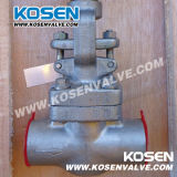 Stainless Steel Forged Globe Valves