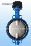 Wafer Butterfly Valve with Worm Gear Manufacturer