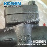 Forged Steel Piston Check Valves (H11)