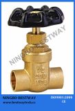 Copper Gate Valve for Water Meter (BW-G08)