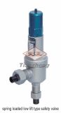 Spring Loaded Low Lift Type Safety Valve (13)