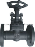 API602 Forged Flanged Gate Valve with Class150-2500lb