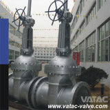 Flanged Rtj, RF or Butt Weld Bw Gate Valve