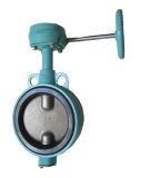 Wafer Butterfly Valve with Worm Gear Manufacturer