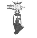 Y-Type Globe Valve for Power Station