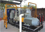 Professional Supplier of Nature Gas Screw Compressor Unit