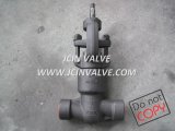 Forged Steel Globe Valve with Pressure Seal Structure