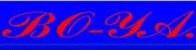 Shenzhen Boya Electromagnetic Technology Co., Ltd