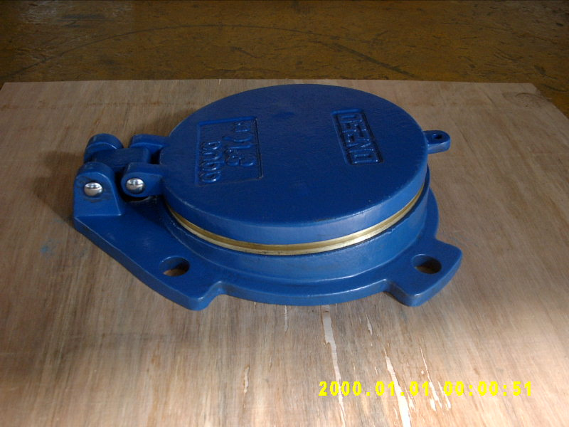 Ductile Iron Flap Valve