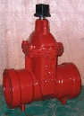 Iron Body Push-On Joint Gate Valve