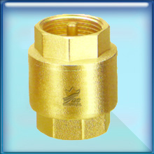 Check Valve-7104