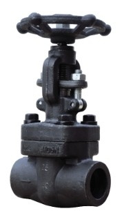 Forge Steel Globe Valve