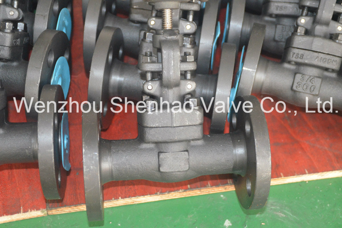 API 602 Forged Steel A105 Flanged Globe Valve Manufacturer