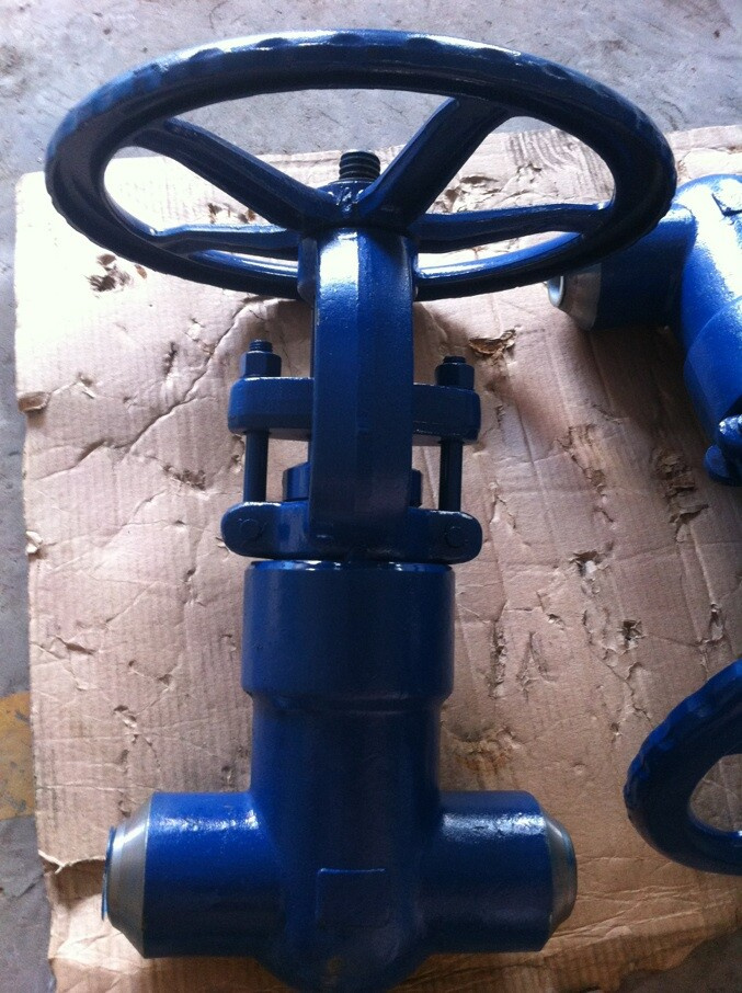 Class2500 Dn40 High Pressure Temperature Gate Valve