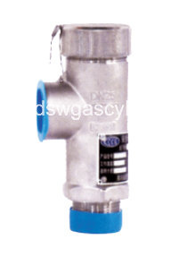 Cryogenic Safety Valve for LNG