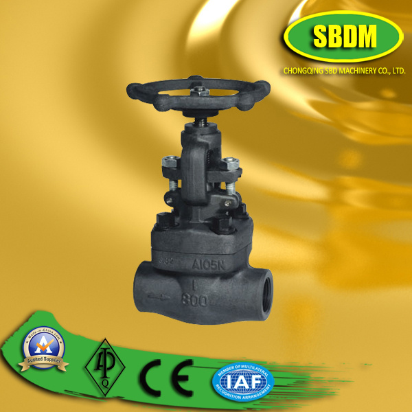 800lb NPT Forged Steel Globe Valve