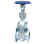 Cast Steel Valves & Forged Steel Valve