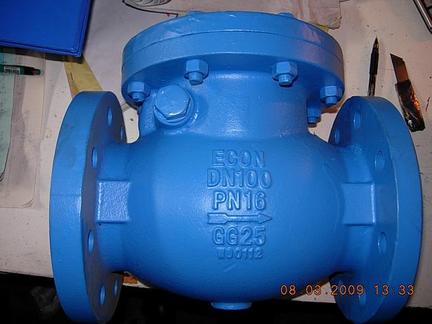 Swing Check Valve